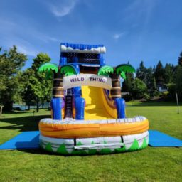 18-ft Wild Thing Water Slide with Pool