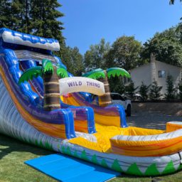 18-ft Wild Thing Water Slide with Pool