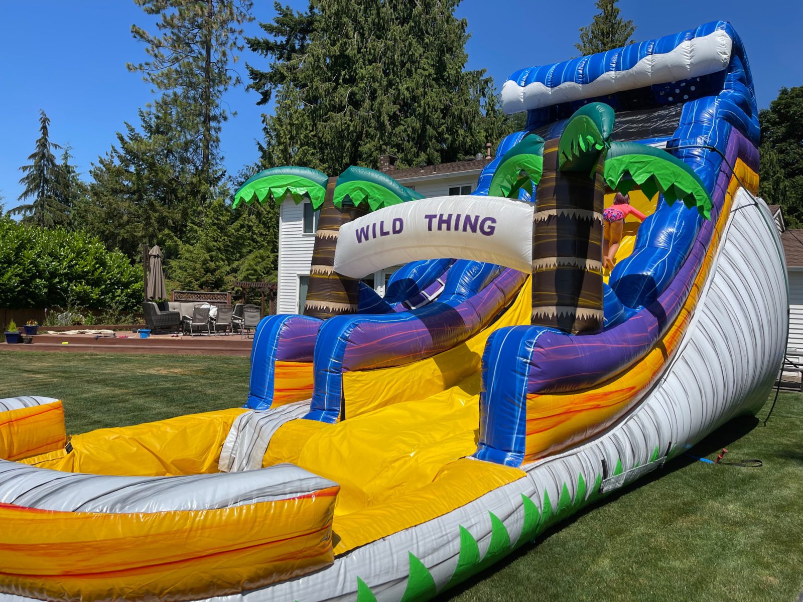 Big Inflatable Water Slides for Festivals and Events - Huge