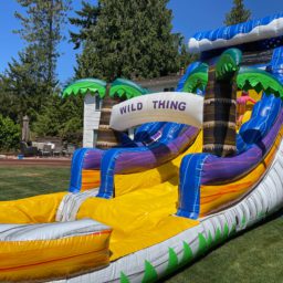 18-ft Wild Thing Water Slide with Pool