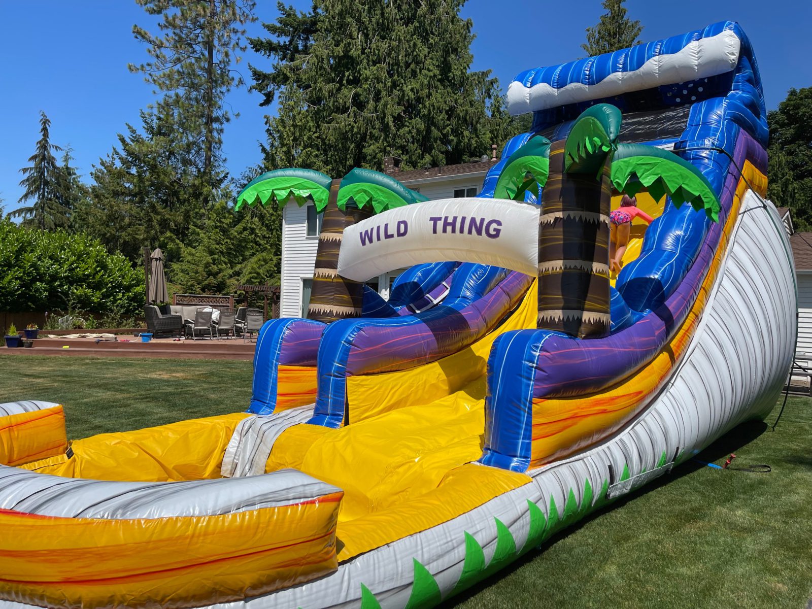 18-ft Wild Thing Water Slide with Pool