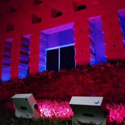 Vivid Lites