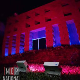 Vivid Lites