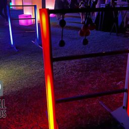 LED Ladder Ball