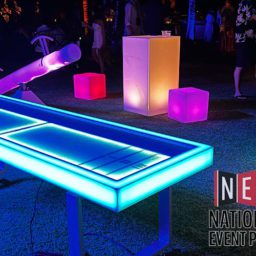 LED Shuffleboard Deluxe