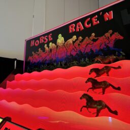 LED Roll-A-Ball Horse Race Game