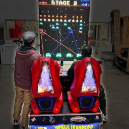 Space Invaders Frenzy
