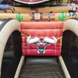 Wild West Carnival Games 3-in-1