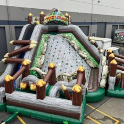 Rocky Island Obstacle Course